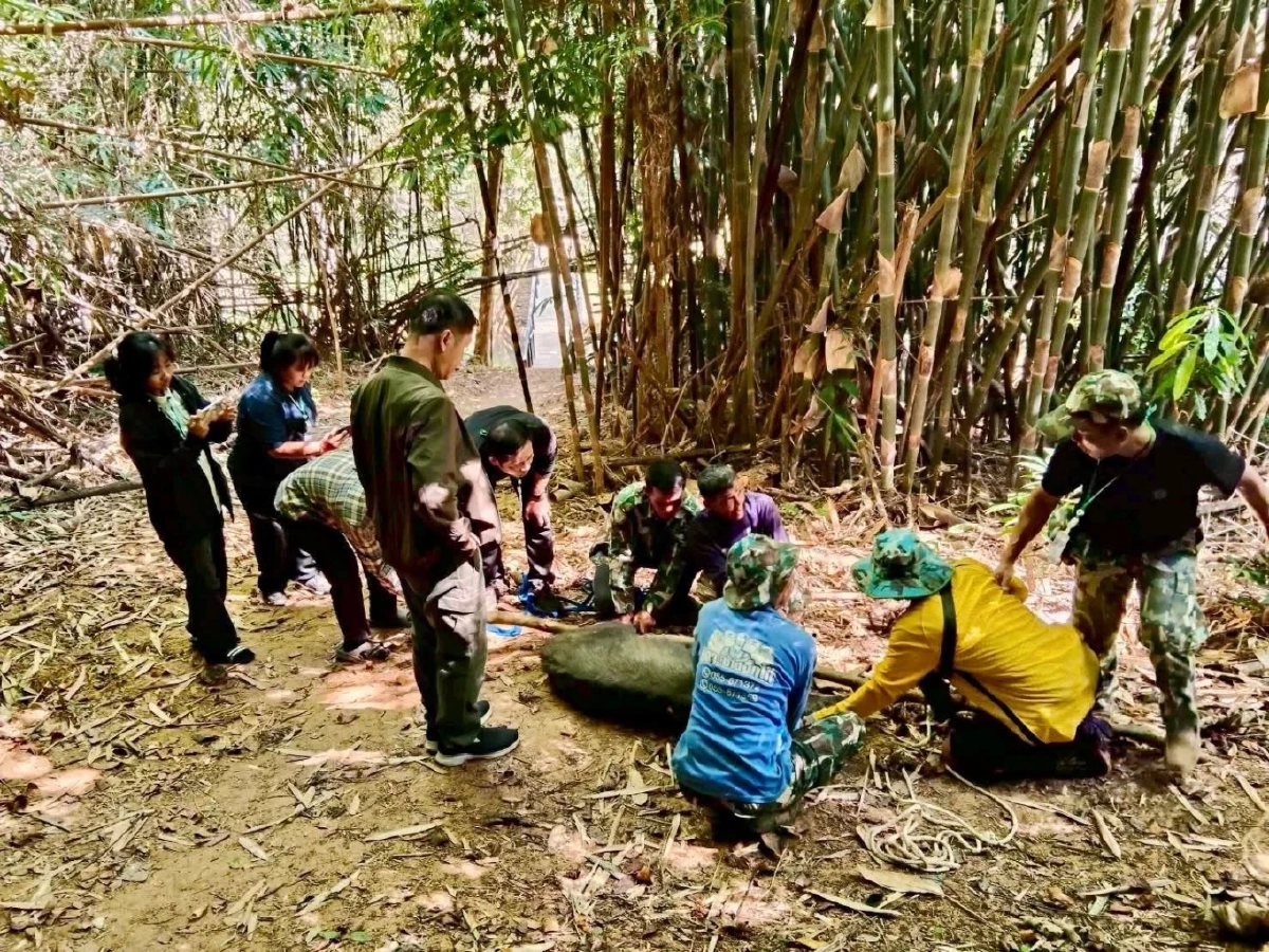 นาทีชีวิต! เลียงผาหนัก 80 กิโลฯ ตกถังพักน้ำ สู้สุดใจรอคนช่วย