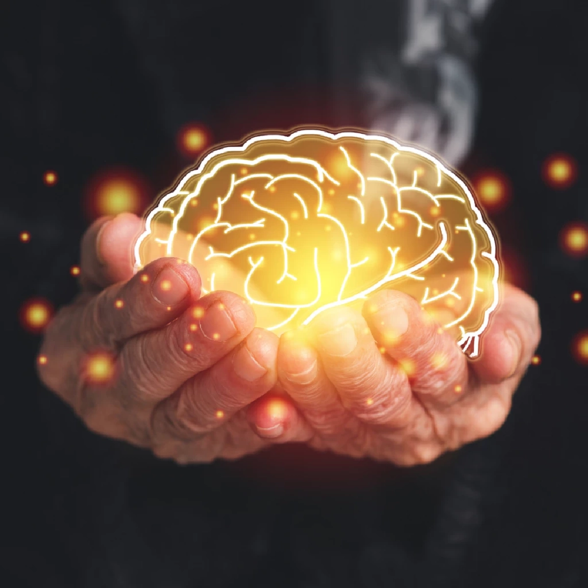 อย่าปล่อยให้ฝุ่นกินสมอง! เผยภัยเงียบ PM 2.5 ทำเสี่ยงอัลไซเมอร์ก่อนวัย