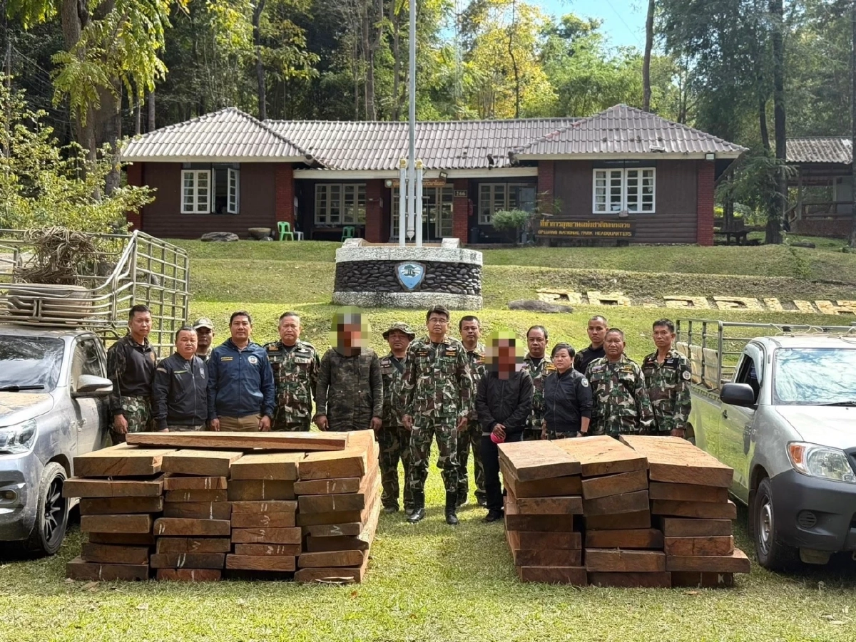 ปิดล้อม! ปฏิบัติการดักซุ่มรวบขบวนการค้าไม้ประดู่ ยึดของกลาง