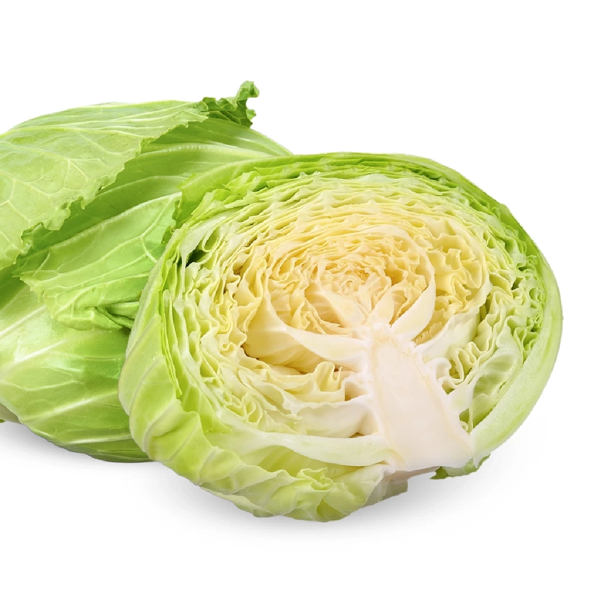 กะหล่ำปี ผักบ้านๆ แต่ประโยชน์ไม่ธรรมดา กินแล้วดีต่อสุขภาพ