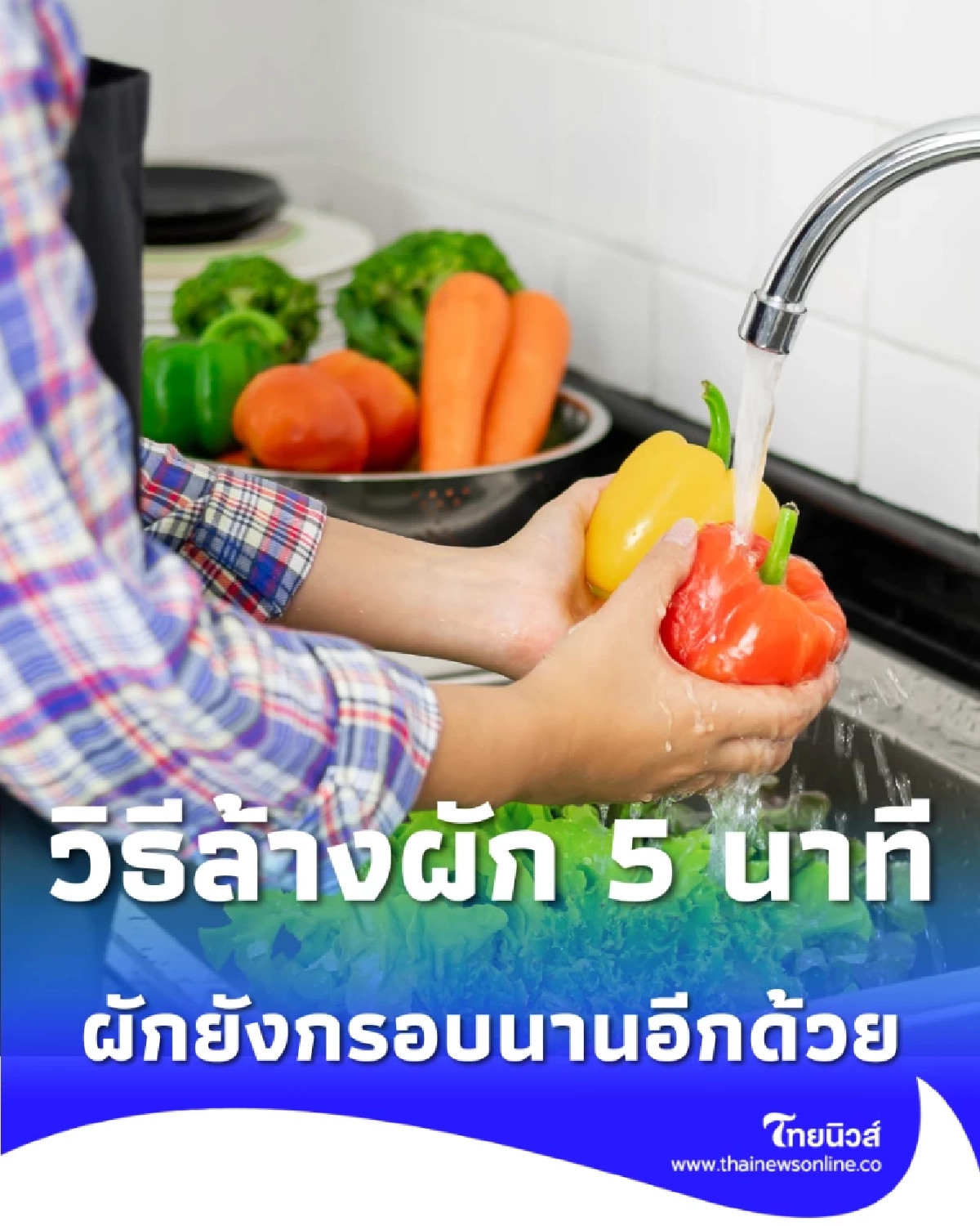 เปิดวิธีล้างผัก 5 นาที สะอาดเกลี้ยง และผักยังกรอบนานอีกด้วย