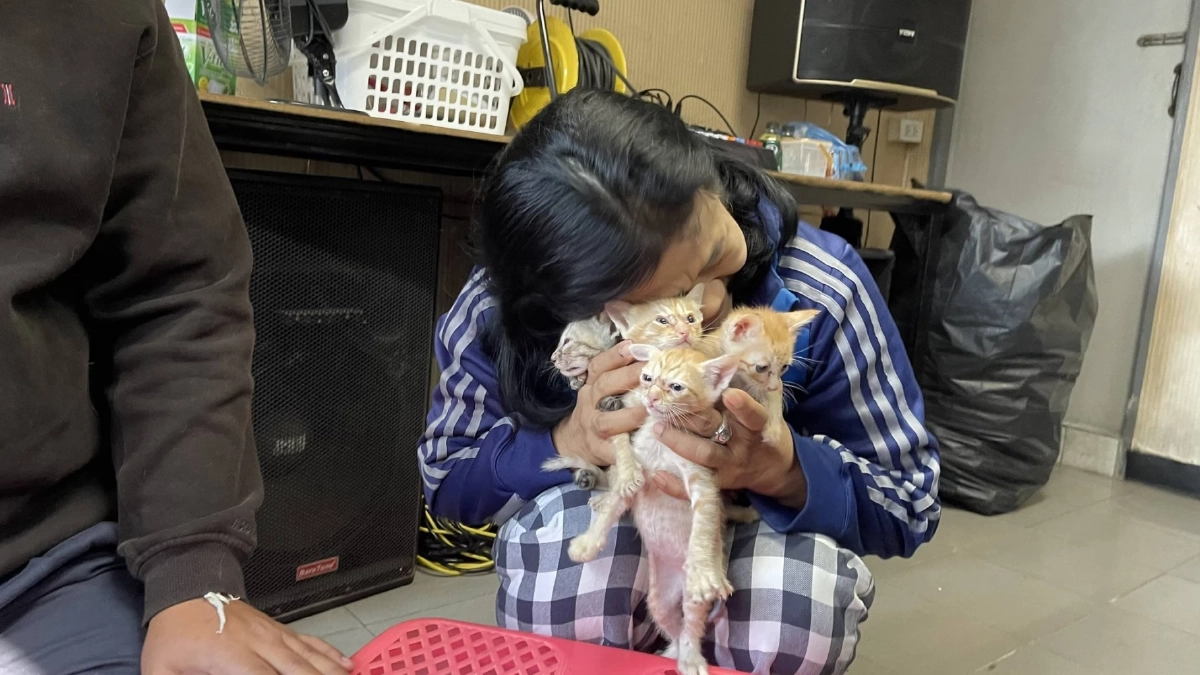 ภารกิจสำเร็จ! ตำรวจทางหลวงอยุธยาช่วยแมวพลัดหลงได้กลับบ้านแล้ว