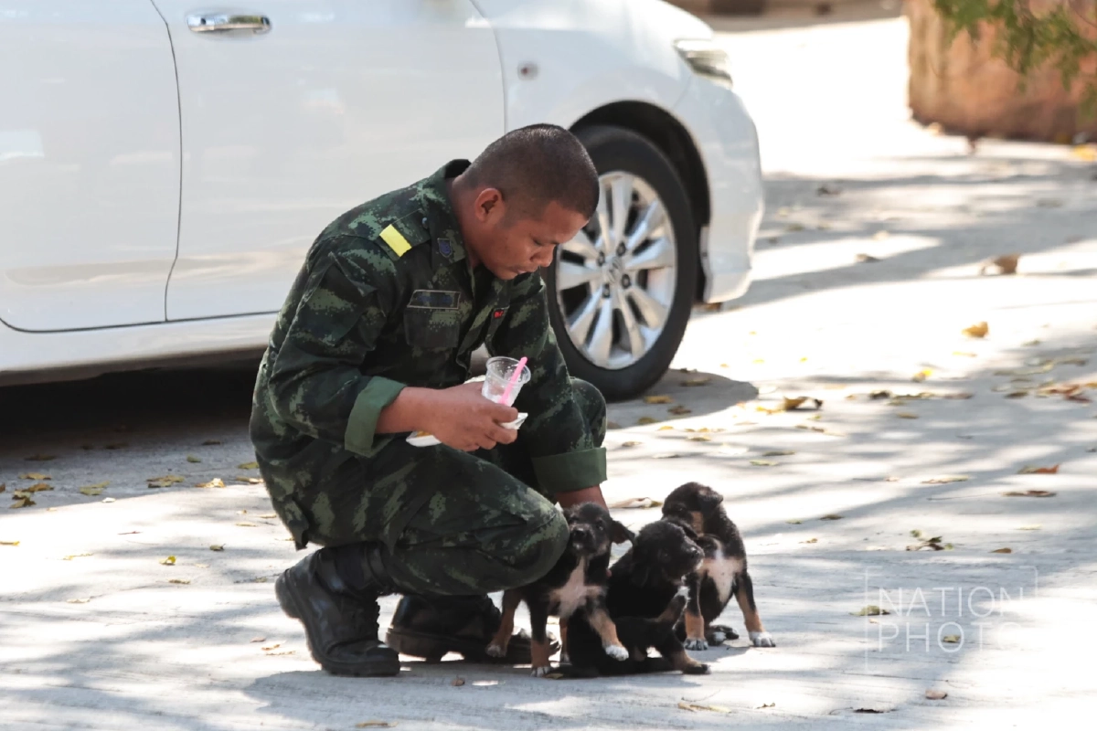 ภาพ โสภน สุเสนา (Sopon Susena)