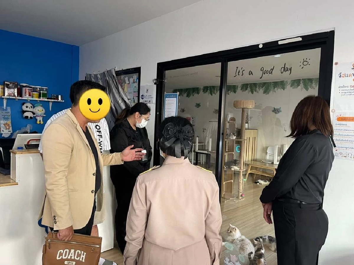 เขตบางเขนรุดตรวจคาเฟ่แมว หลังโซเชียลแฉคลิปทารุณกรรมสัตว์