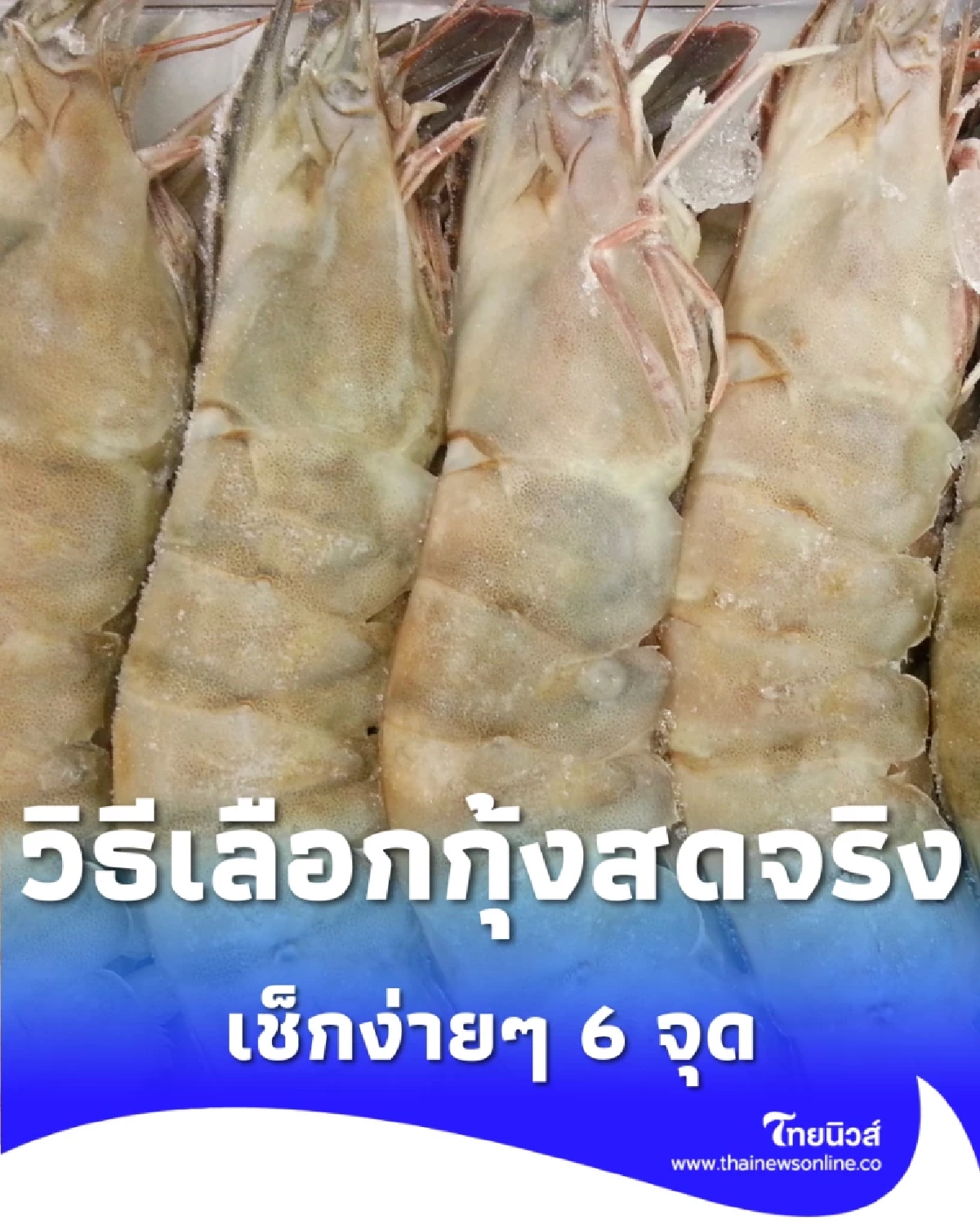 วิธีเลือกกุ้งสดจริง ไม่ใช่กุ้งอัดสาร เช็กง่ายๆ 6 จุด จำครั้งเดียวใช้คุ้มตลอดไป