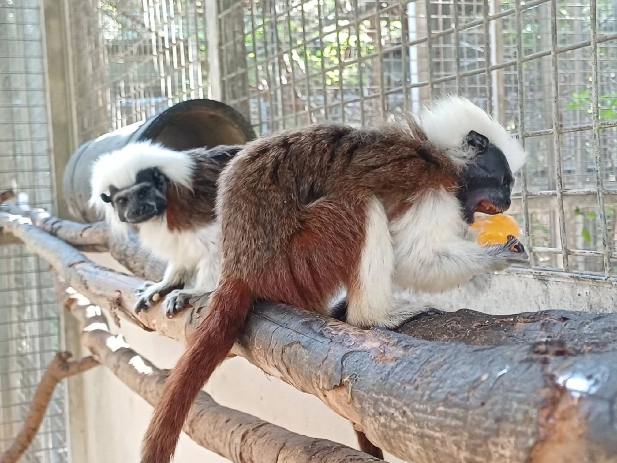 ประชาชนแห่เช็คอินสถานีเพาะเลี้ยงสัตว์ป่าเขาสน จ.ราชบุรี