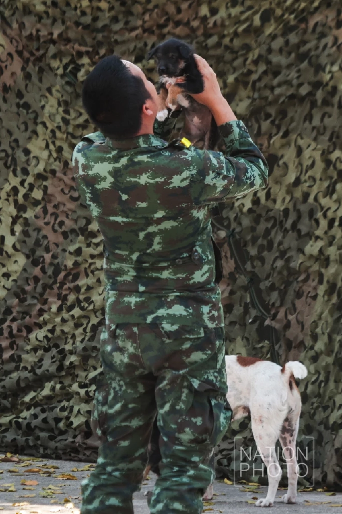 ภาพ โสภน สุเสนา (Sopon Susena)