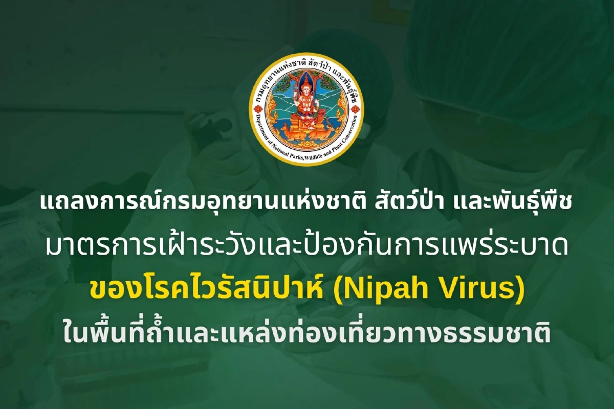 ยันยังไม่พบไวรัสนิปาห์ในไทย กรมอุทยานฯ สั่งคุมเข้มถ้ำทั่วประเทศ