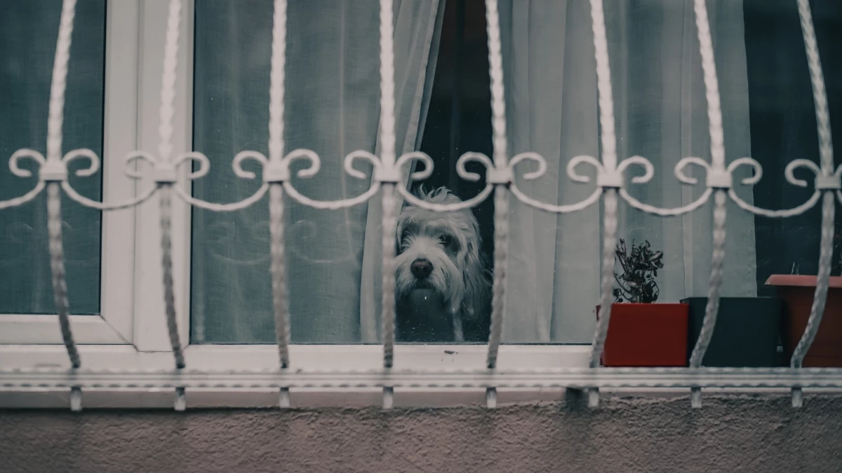  เหล็กดัดกันขโมย กลายเป็นกับดักชีวิต? บทเรียนจากเหตุไฟไหม้บ้าน