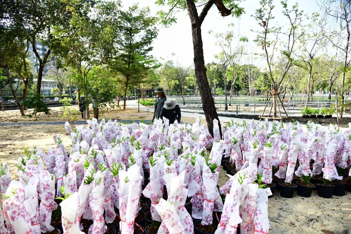 สวนสาธารณะเฉลิมพระเกียรติ 80 พรรษา ปรับโฉมพื้นที่สีเขียว ฟื้นปอดให้คนเมือง