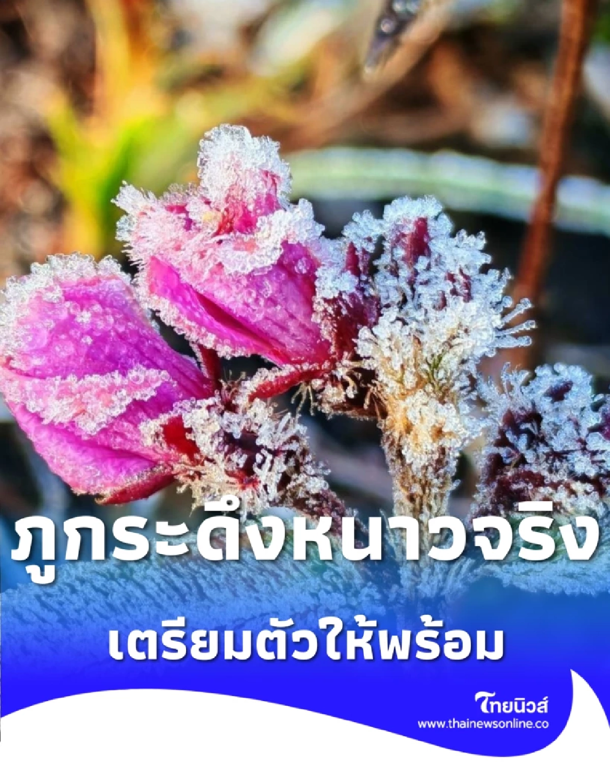 ภูกระดึงแตะ 4 องศาฯ เช็กสภาพอากาศก่อนแพ็กกระเป๋าไปพิชิตยอดภู