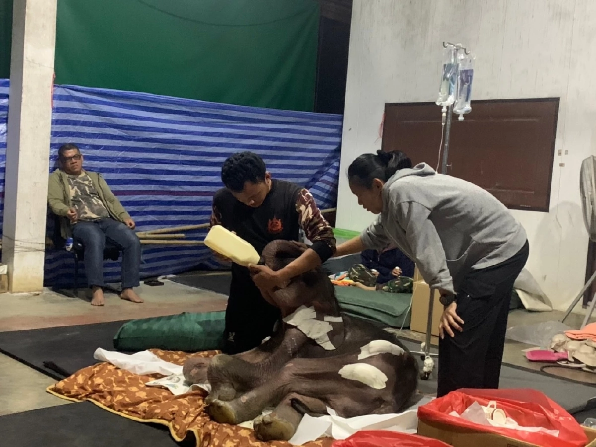 อัพเดทความคืบหน้า น้องข้าวต้ม ต้องเฝ้าระวังตลอด 24 ชั่วโมง