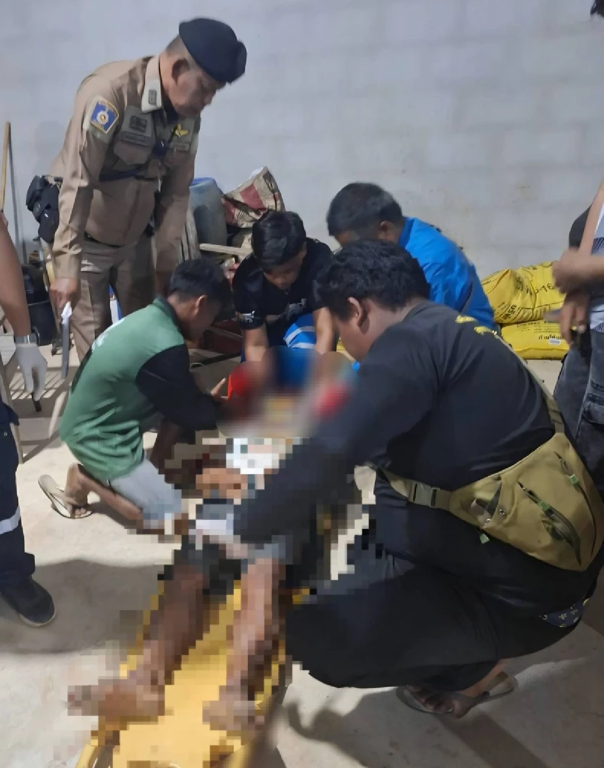 นาทีระทึก! ฝูงช้างป่า 80 ตัวบุกถล่มสวน เผยนาทีทำร้ายคนงานสาหัส