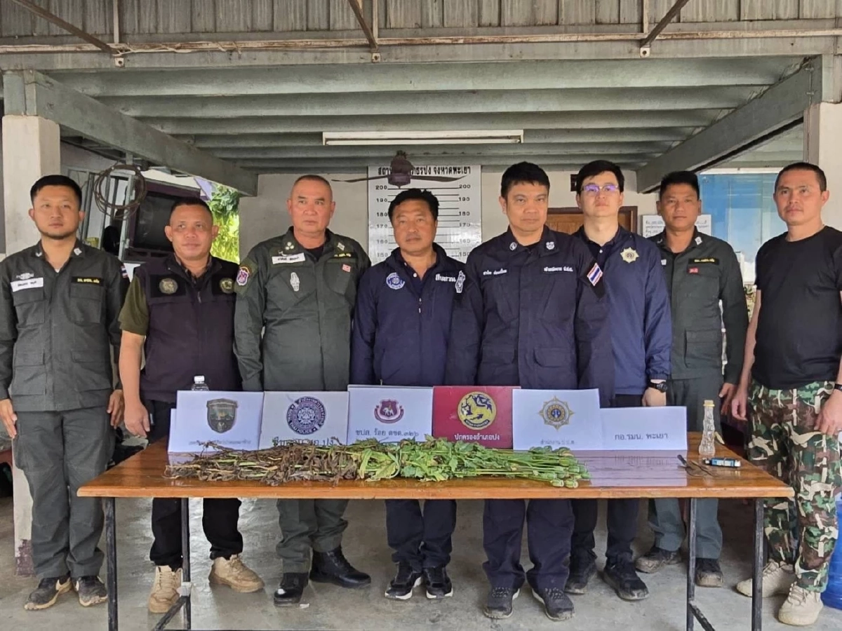 เปิดปฏิบัติการลุยอุทยานปง! สนธิกำลัง 60 นาย บุกทำลายไร่ฝิ่น