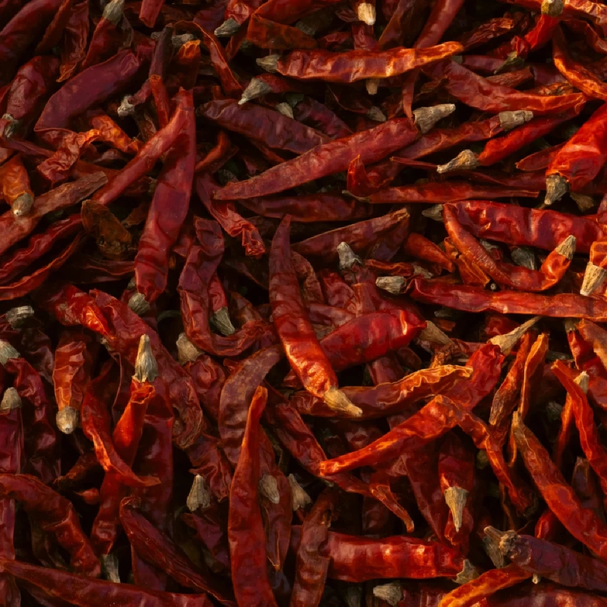 รู้ไว้ก่อนจะสาย! 5 อาหารต้องห้าม ที่ไม่ควรใส่ไมโครเวฟ