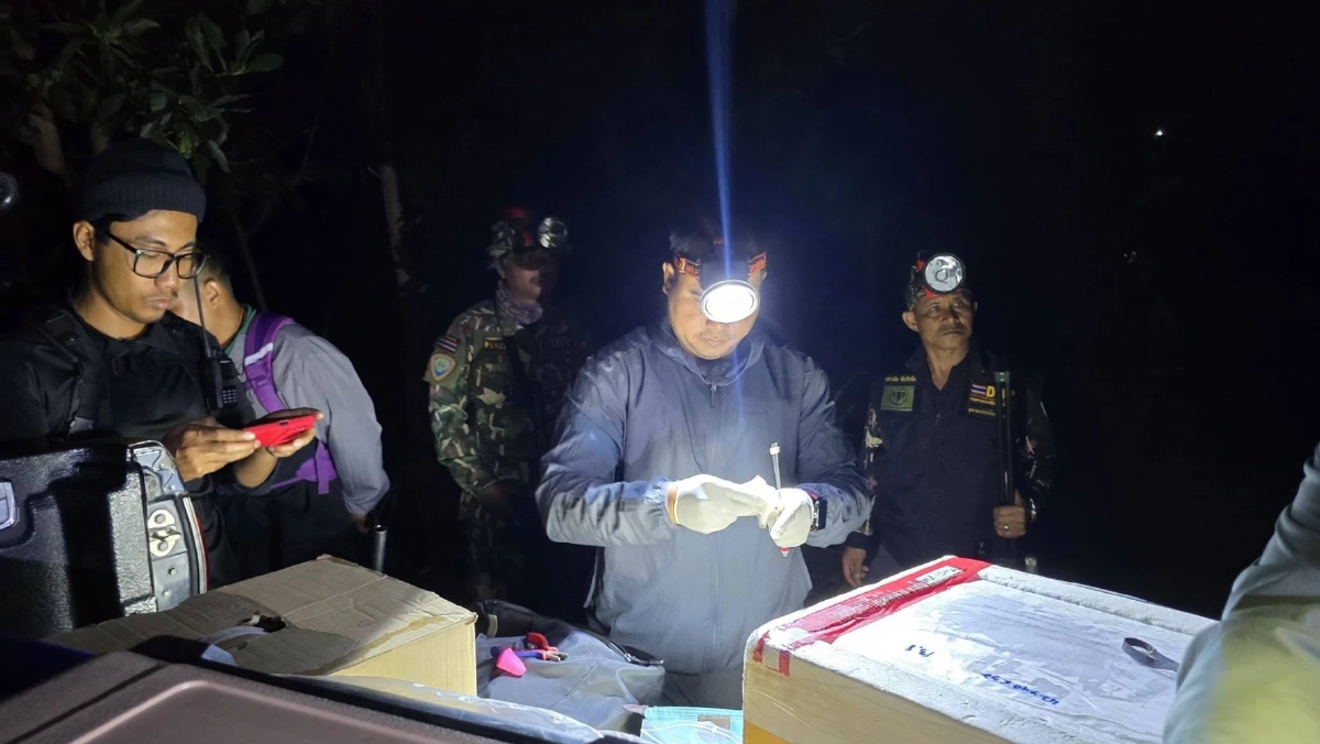 กรมอุทยานฯ ทดลองฉีดวัคซีนคุมกำเนิดช้างป่าครั้งแรกในไทย