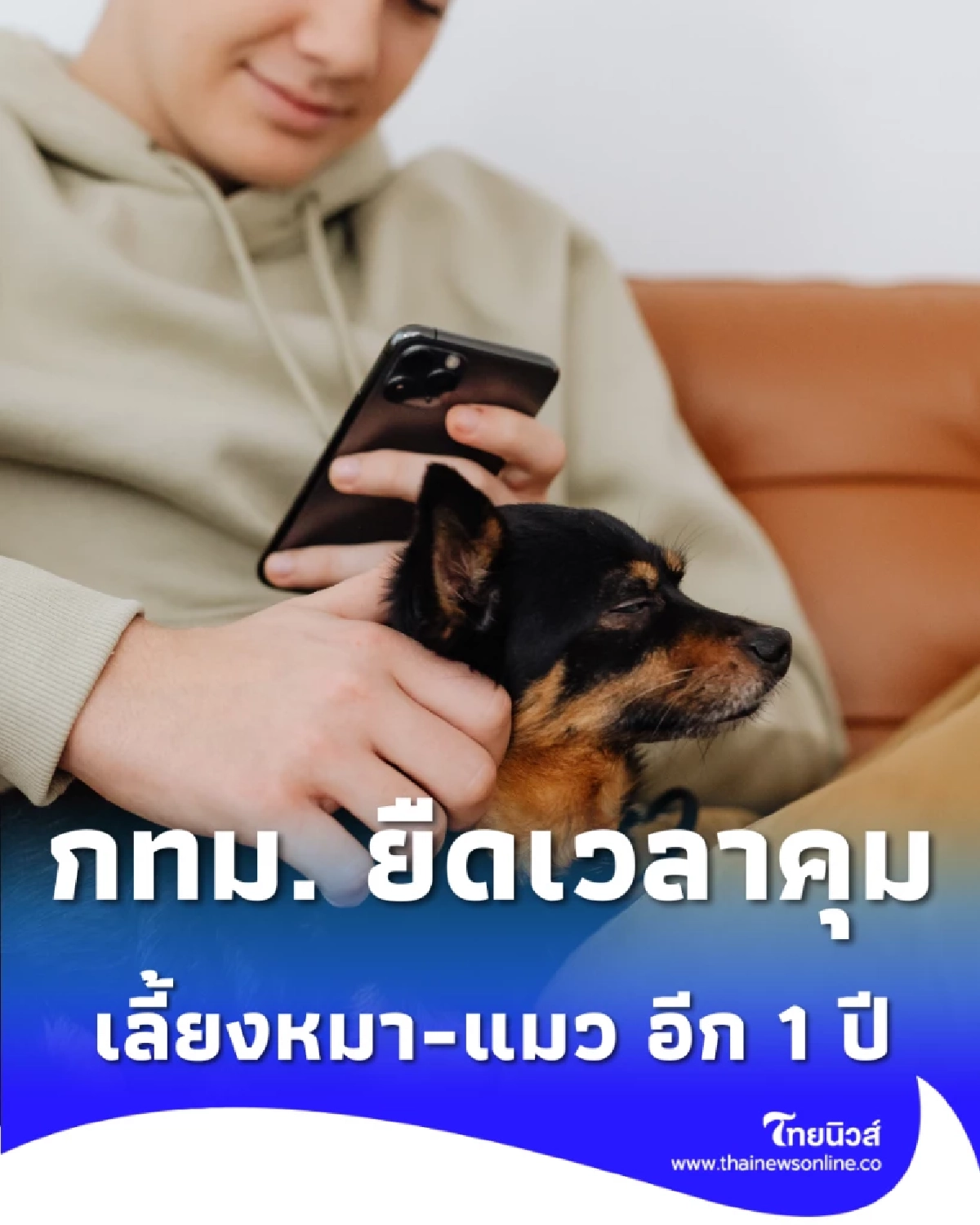 กทม. ยืดเวลาคุม เลี้ยงหมา-แมว อีก 1 ปี ปรับปรุงระบบให้ดีกว่าเดิม