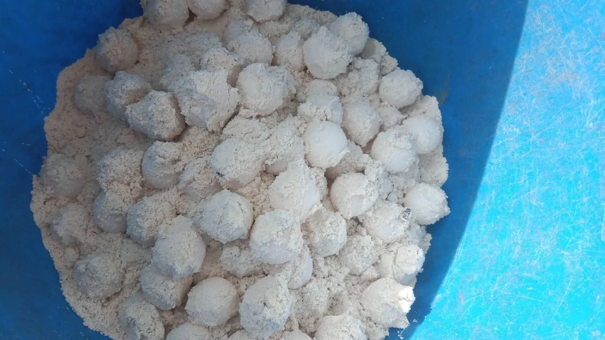 สิมิลันยิ้ม! แม่เต่าตนุวางไข่รังที่ 6 ย้ำระบบนิเวศฟื้นตัว