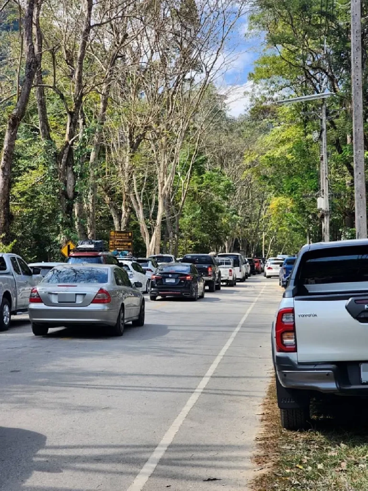 ปีใหม่ 2569 คึกคัก นักท่องเที่ยวแห่เข้าอุทยานทั่วไทย ทะลุ 5 แสนคน