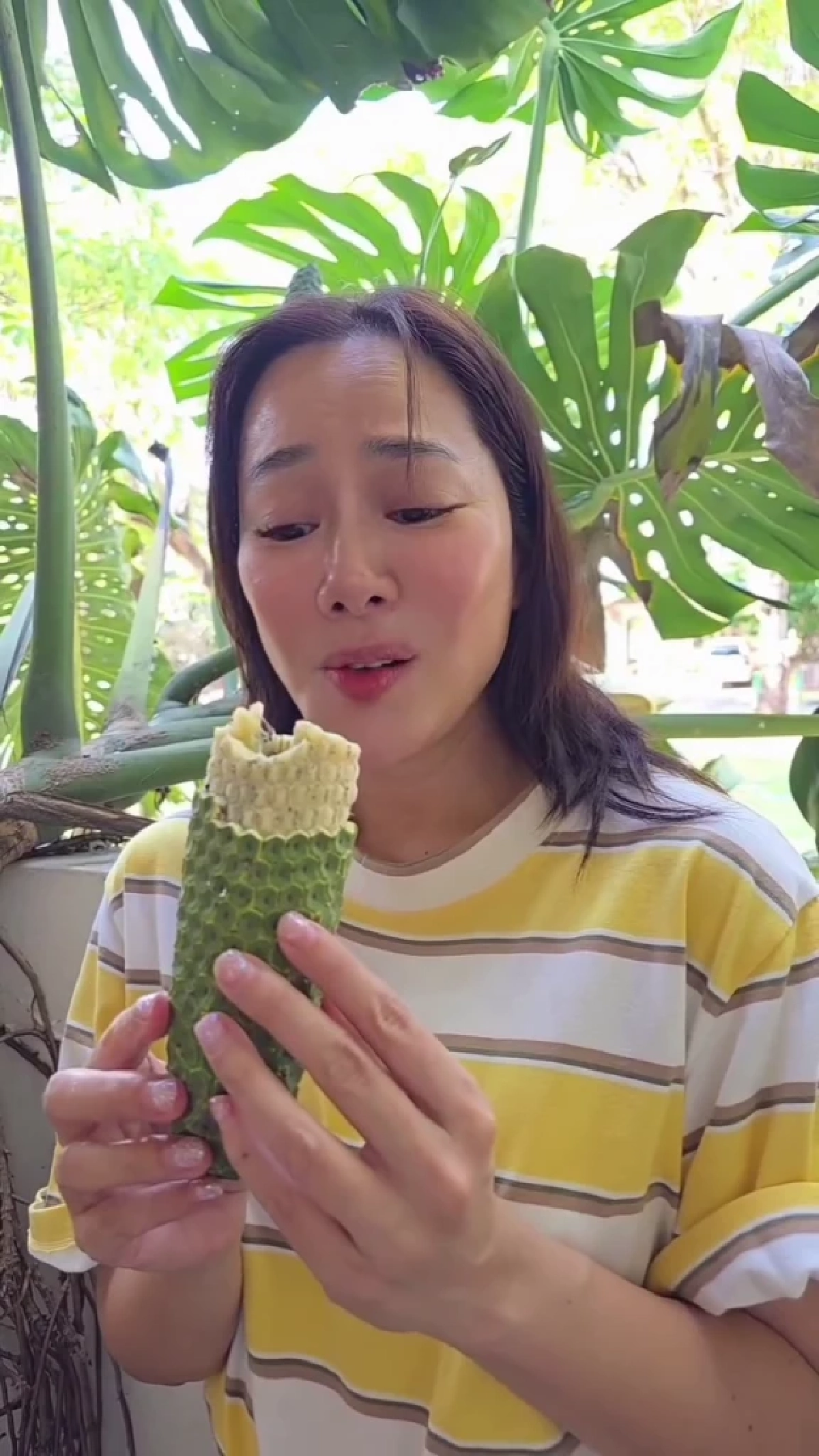 ฮือฮาคนรักต้นไม้ “จอย รินลณี” เปิดประสบการณ์ชิมผลมอนสเตอร่า