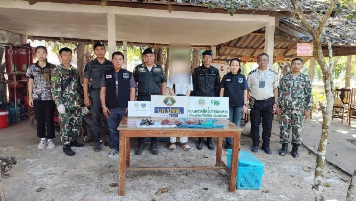 ทลายตลาดค้าสัตว์ป่าชายแดนไทย–ลาว รวบ 2 ผู้ต้องหา ยึดซากสัตว์ป่า