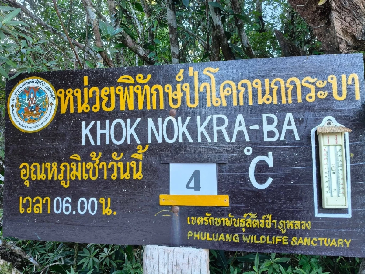 หนาวจัดที่ภูกระดึง-ภูหลวง แม่คะนิ้ง โผล่ทักทายฤดูหนาว 2569