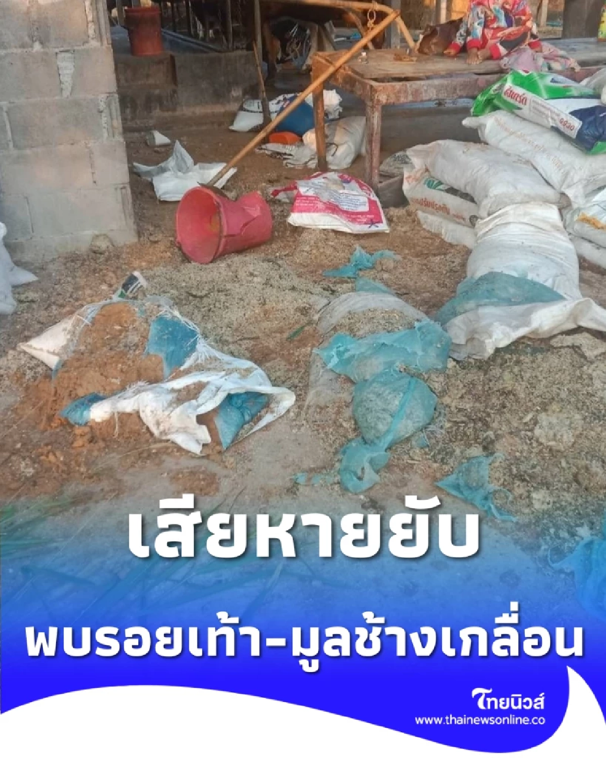 เจ้าของบ้านงง ตื่นเช้าเจอโรงเรือนพัง พบหลักฐานคือรอยเท้า