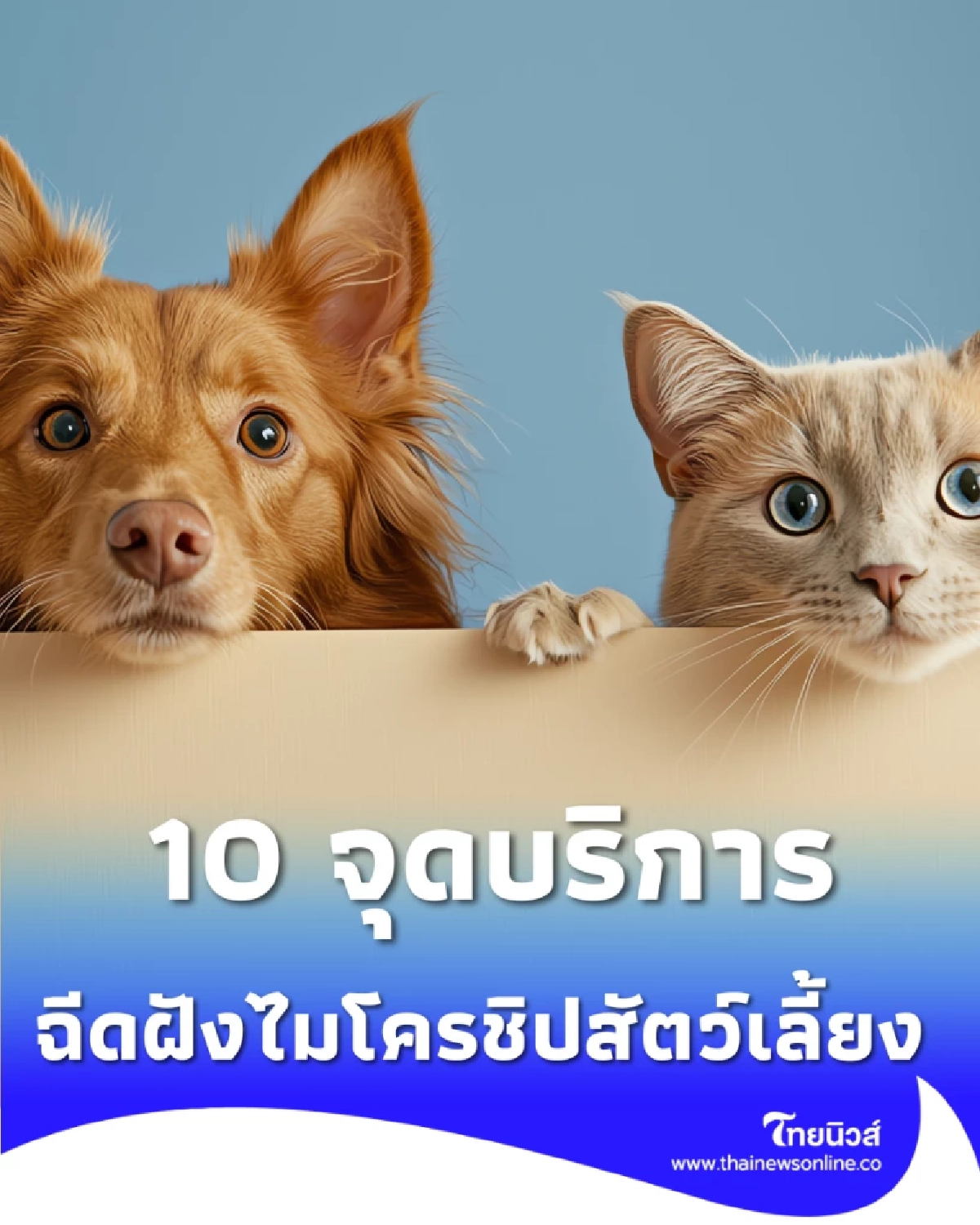 10 จุดบริการฉีดฝังไมโครชิปและจดทะเบียนสัตว์เลี้ยง ในกรุงเทพมหานคร