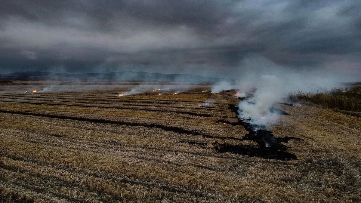 กรมควบคุมมลพิษ แจงกฎหมายห้ามเผา ฝ่าฝืนโทษหนัก คุกสูงสุด 20 ปี