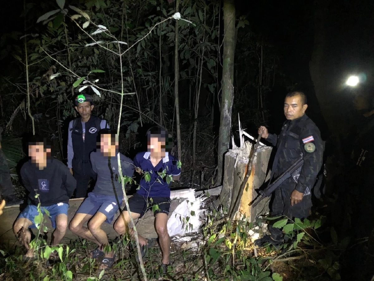 จับชาวเวียดนาม 3 คนขุดไม้กฤษณาหวังรวยทางลัด พร้อมยึดของกลาง