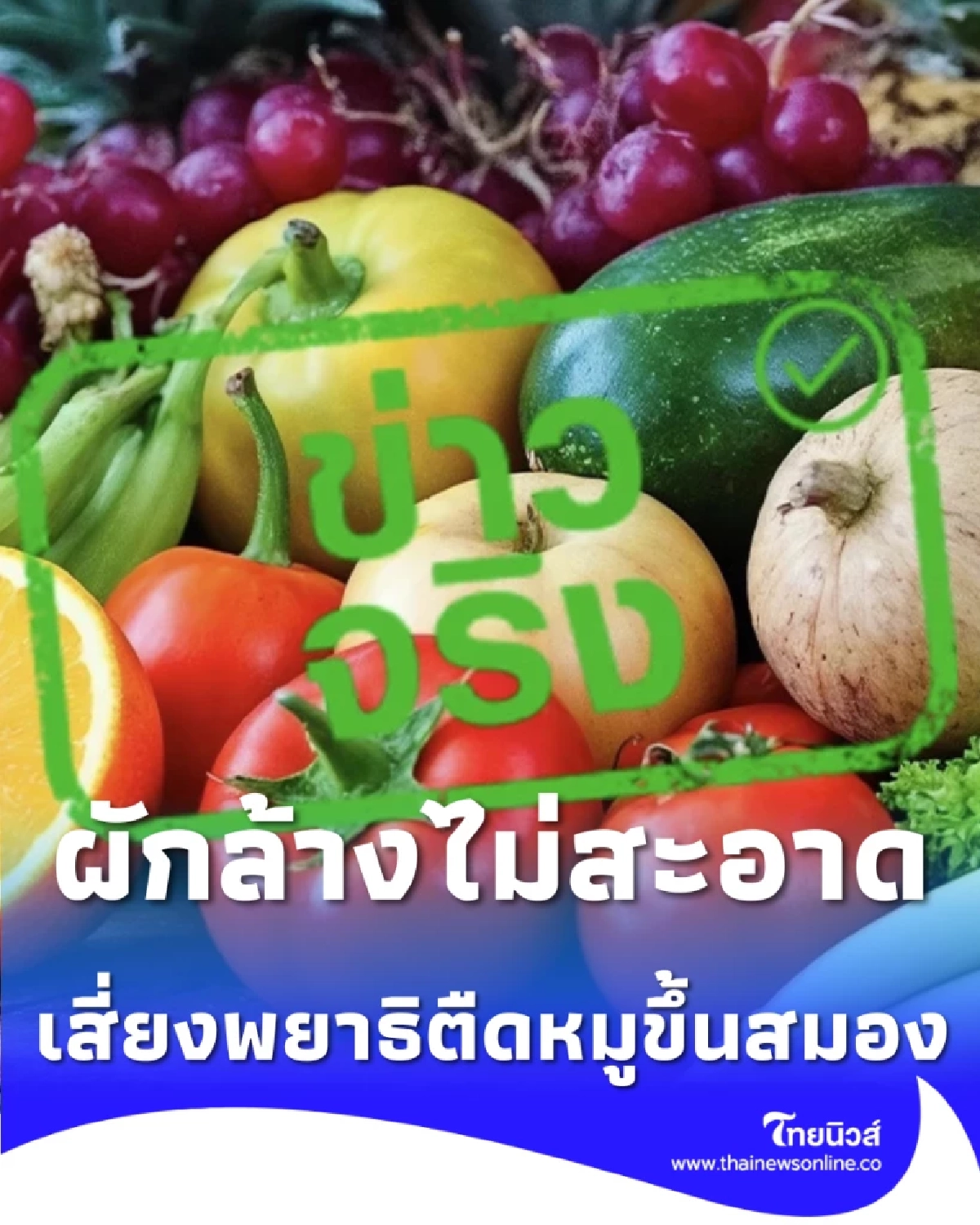 ระวัง ผักสดล้างไม่สะอาดอาจพา พยาธิตืดหมู ขึ้นสมองได้