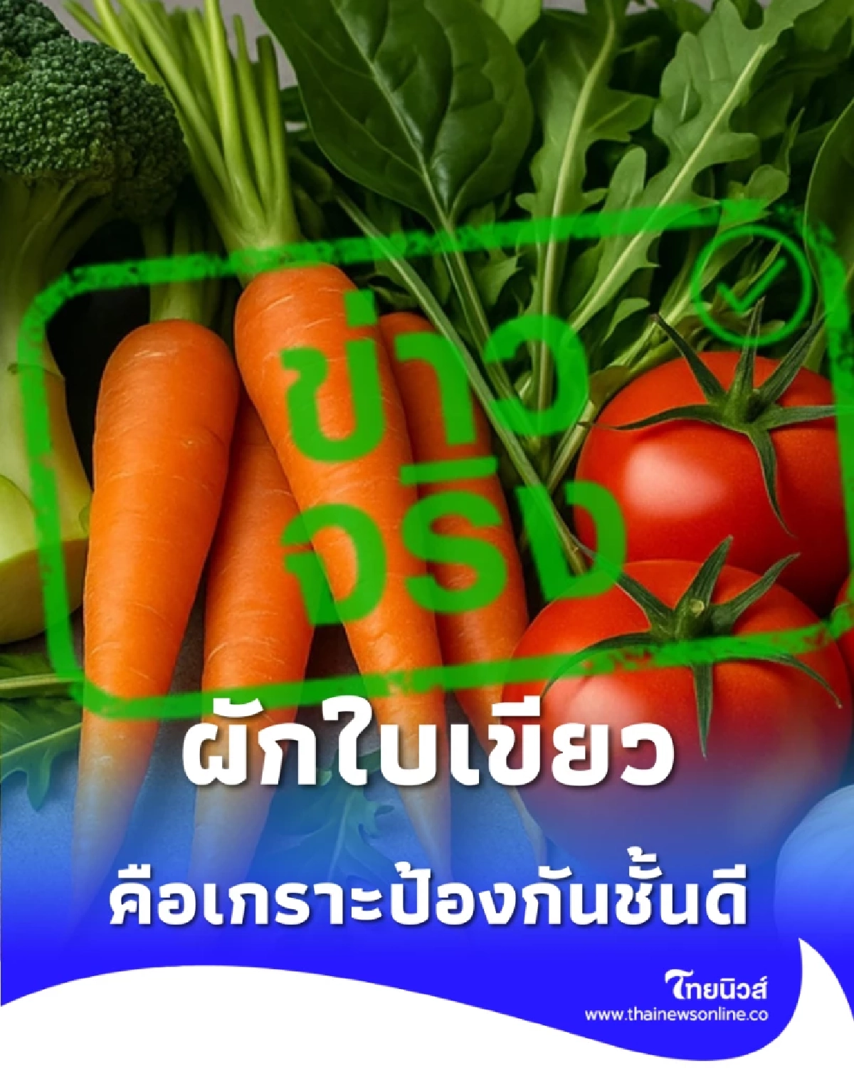 ทำความรู้จักผัก 5 ชนิด คือเกราะป้องกันชั้นดีจากโรคร้าย 