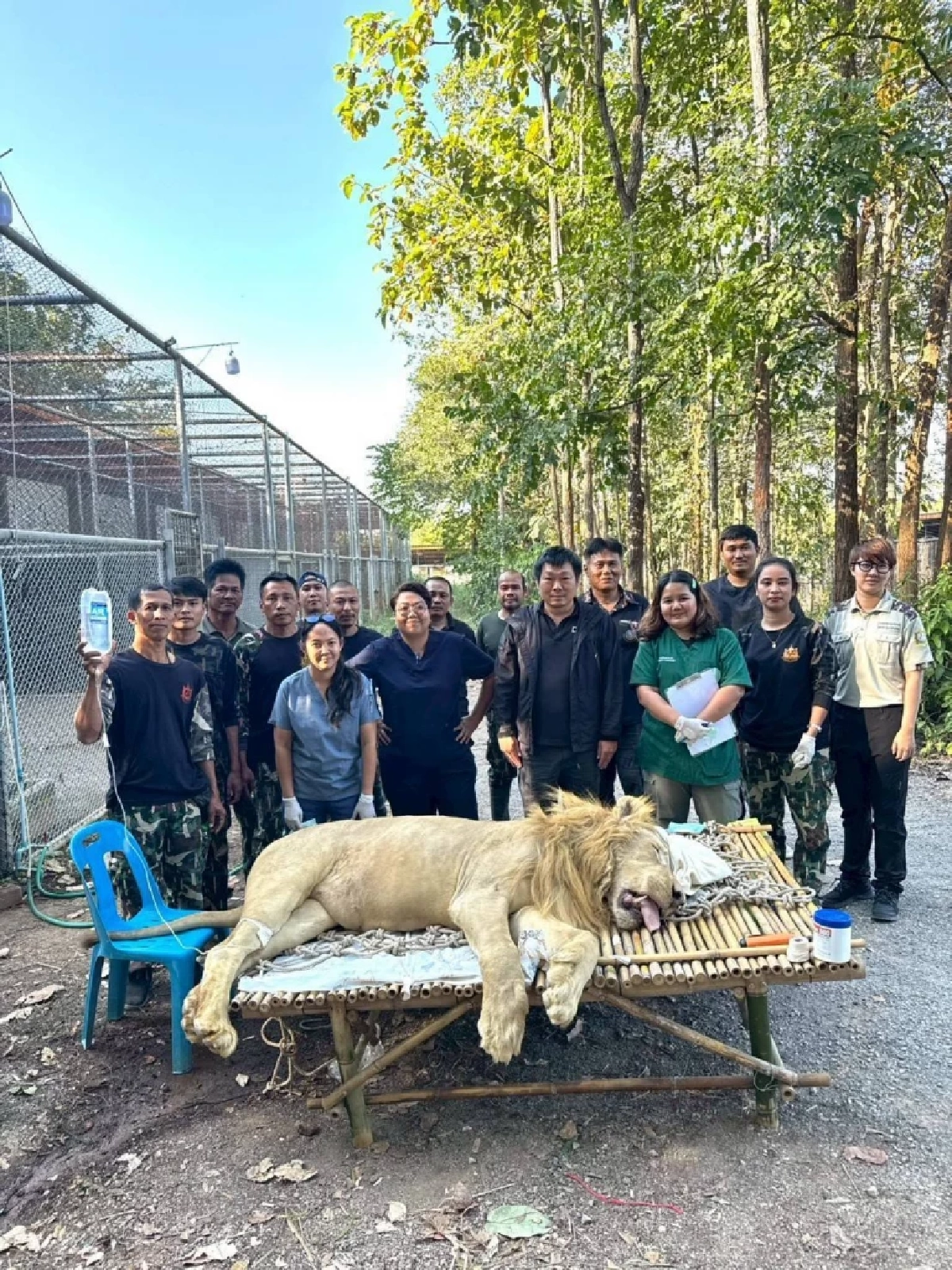 กรมอุทยานฯ ระดมทีมสัตวแพทย์เร่งรักษา เมอรี่–คริสต์มาส