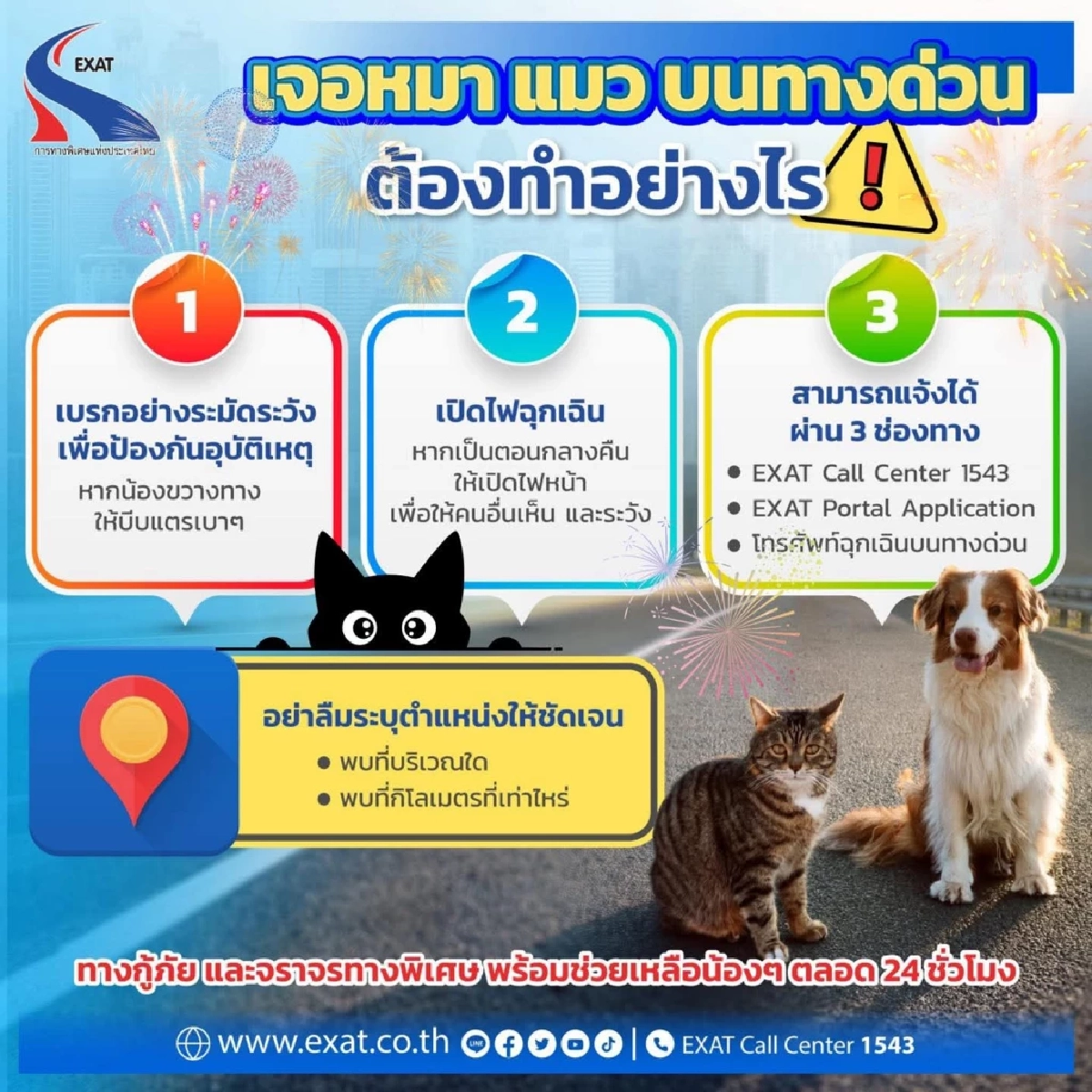 วิธีรับมือสุนัข-แมวหลงบนทางด่วน พร้อมรวมเบอร์ช่วยสัตว์หายปีใหม่