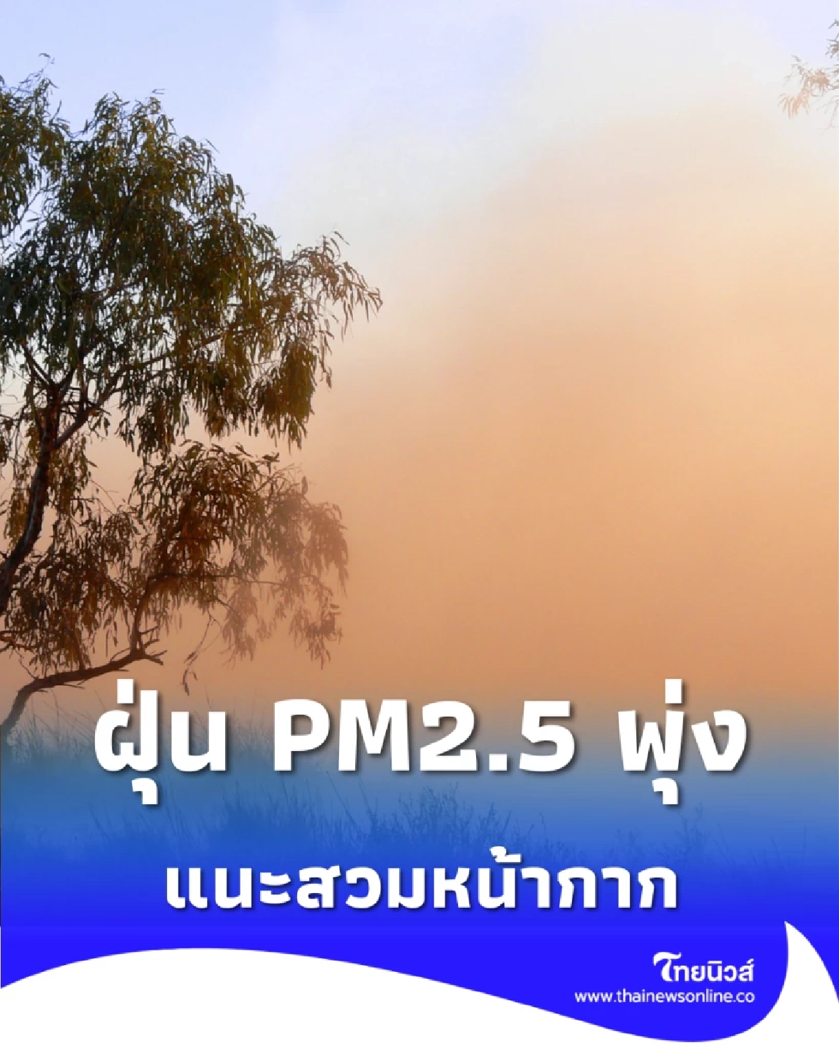 ฝุ่น PM2.5 พุ่งปรี๊ด พบ 27 พื้นที่ค่าเกินมาตรฐาน แนะสวมหน้ากาก