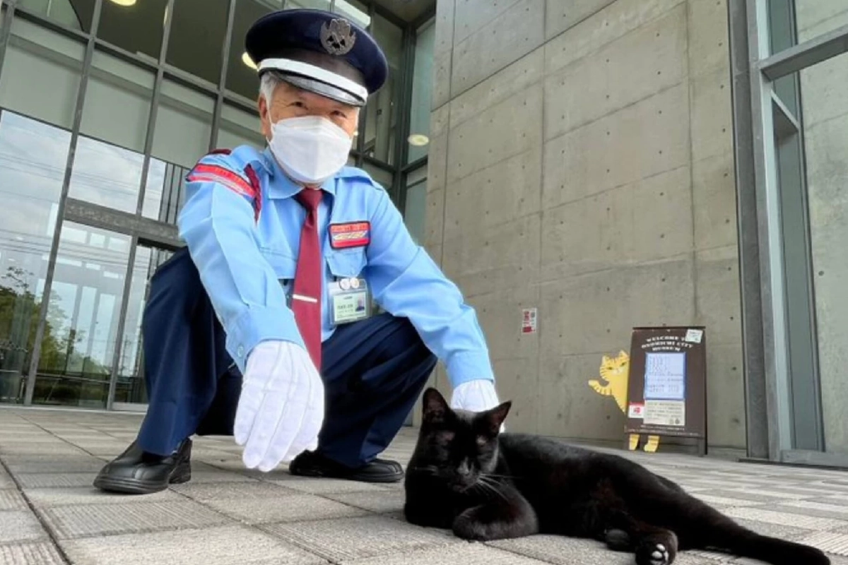 ปิดตำนาน เคนจัง แมวดำยอดนักสู้ ผู้พยายามเข้าพิพิธภัณฑ์ศิลปะนาน 7 ปี