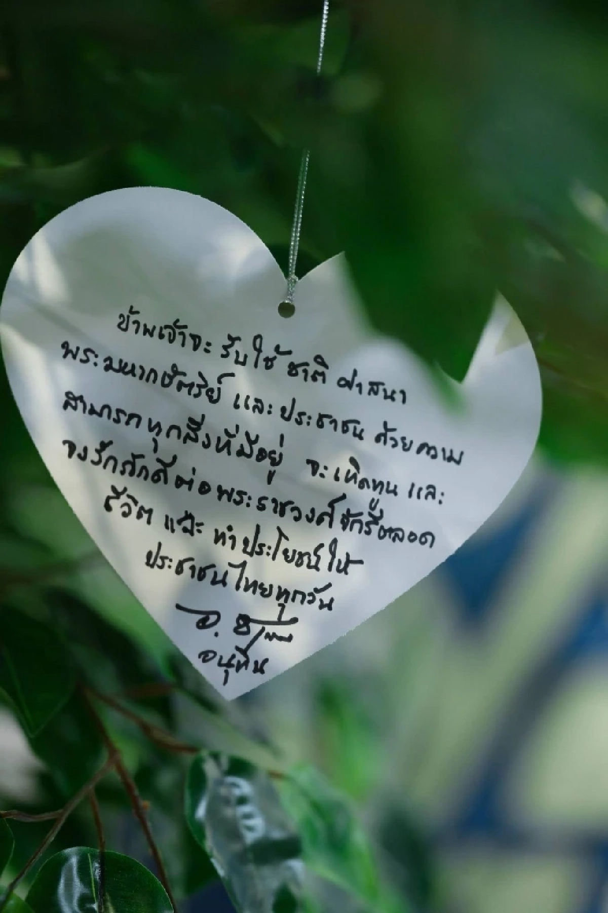 อ่านแล้วซึ้ง เปิดคำปณิธาน อนุทิน ชาญวีรกูล เขียนถวาย พระพันปีหลวง