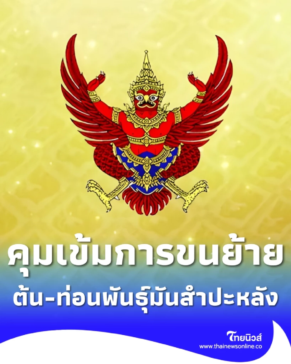 ราชกิจจาฯ บึงกาฬคุมเข้มขนย้ายต้น-ท่อนพันธุ์มันสำปะหลัง