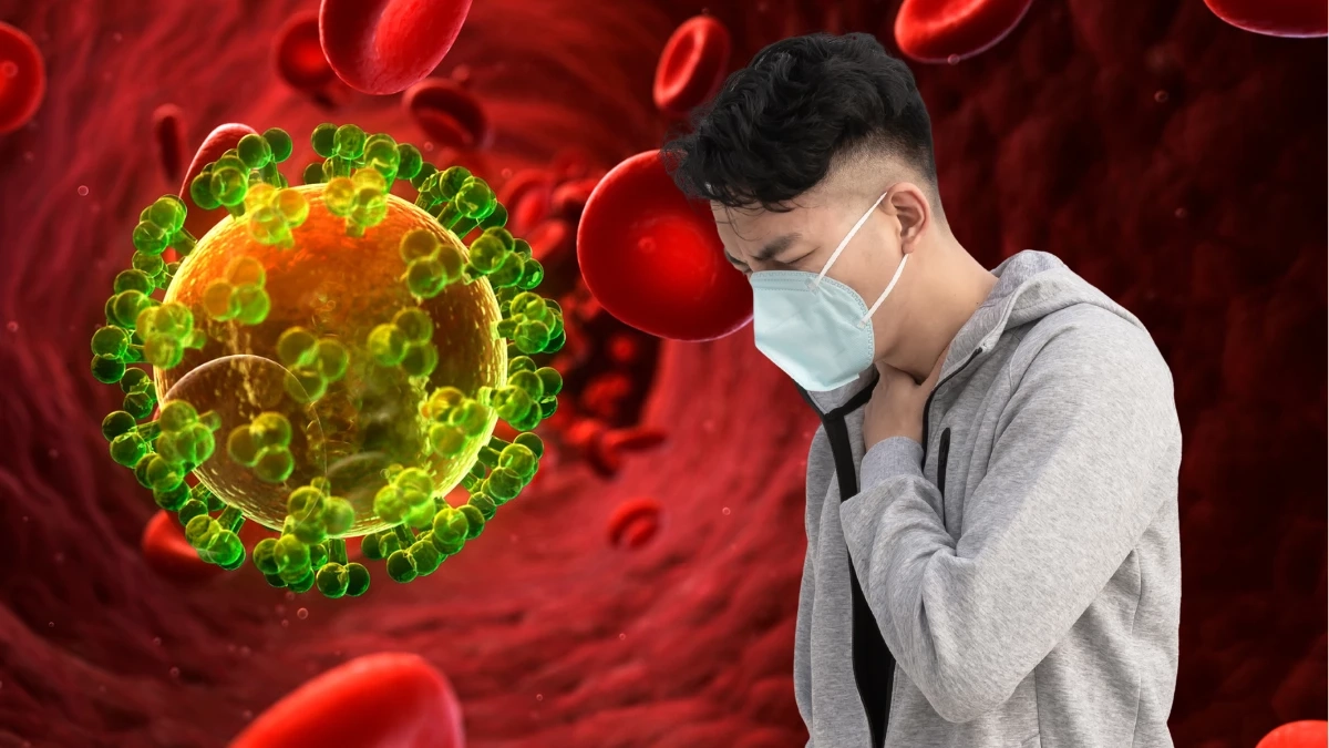 เฝ้าระวังใกล้ชิด! กรมควบคุมโรคจับตา “ไวรัสนิปาห์” ระบาด 