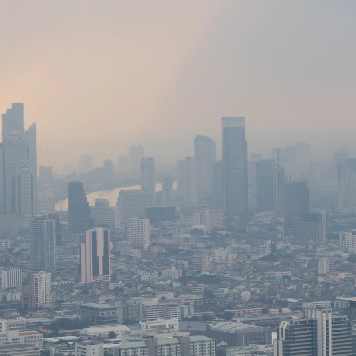 อย่าปล่อยให้ฝุ่นกินสมอง! เผยภัยเงียบ PM 2.5 ทำเสี่ยงอัลไซเมอร์ก่อนวัย