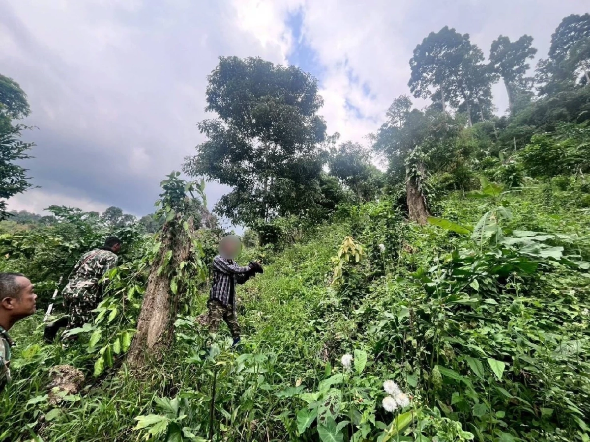 สบอ.3 (เพชรบุรี) ลุยปราบบุกรุกป่า จับ 2 ผู้ต้องหา พบทำผิดซ้ำซาก