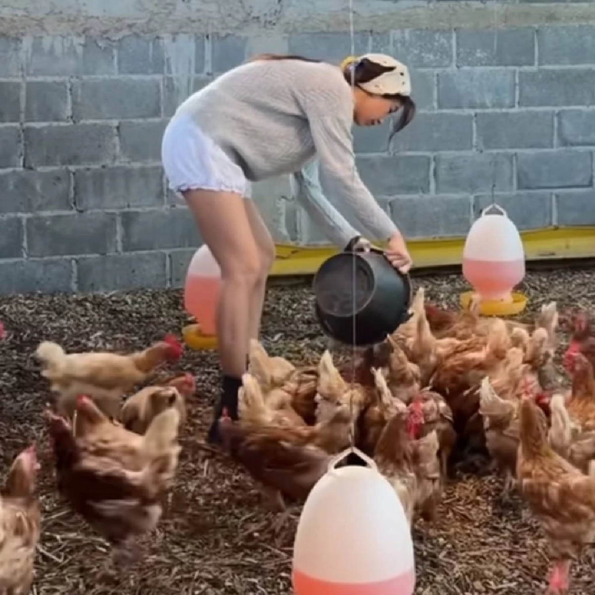 มิ้นต์ ชาลิดา ใช้ชีวิตติดดิน เข้าสวนเก็บผัก-ดูแลเล้าไก่ รับปีใหม่