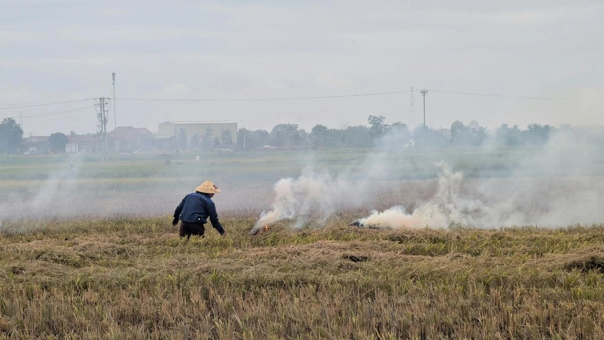 กรมควบคุมมลพิษ แจงกฎหมายห้ามเผา ฝ่าฝืนโทษหนัก คุกสูงสุด 20 ปี