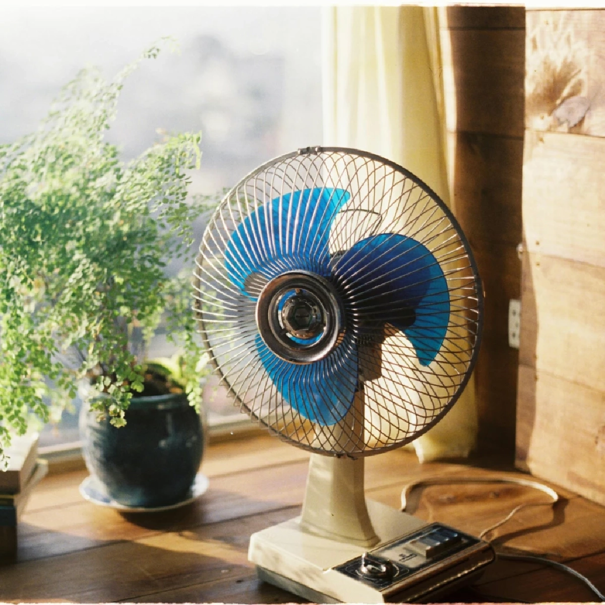 10 ของใช้ใกล้ตัว แหล่งสะสมฝุ่นตัวร้ายที่คุณมองข้าม