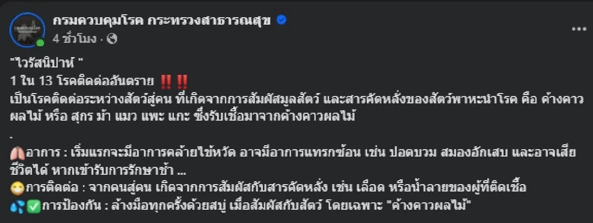 รู้ทันอาการ "ไวรัสนิปาห์" คล้ายไข้หวัด สู่ภาวะแทรกซ้อนถึงดับ