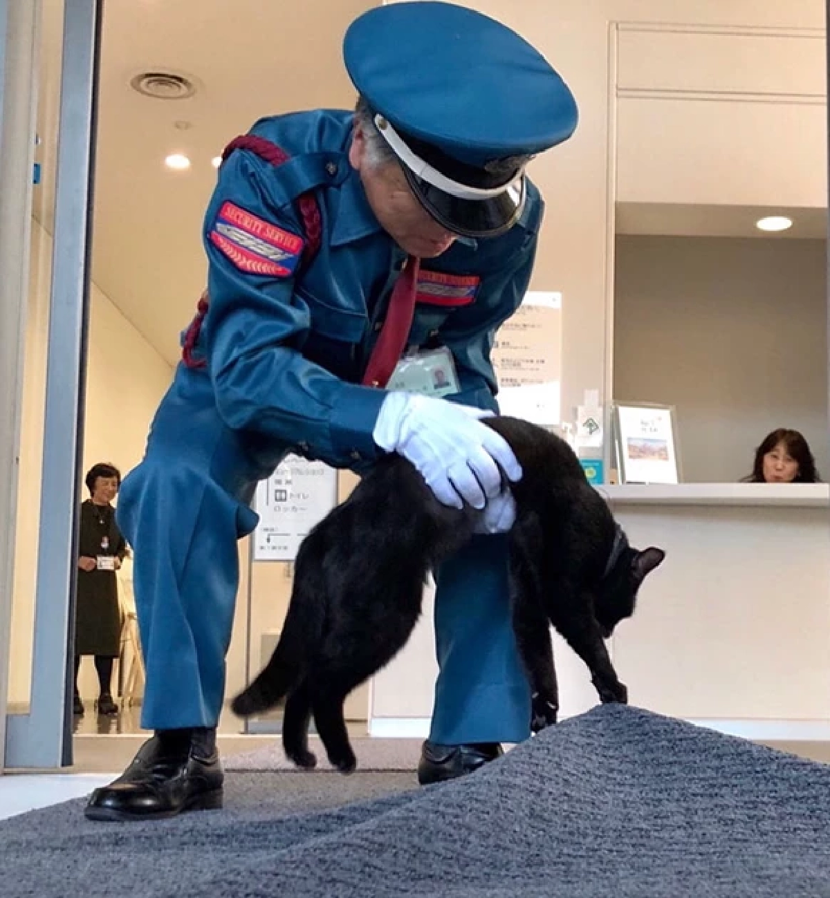 ปิดตำนาน เคนจัง แมวดำยอดนักสู้ ผู้พยายามเข้าพิพิธภัณฑ์ศิลปะนาน 7 ปี