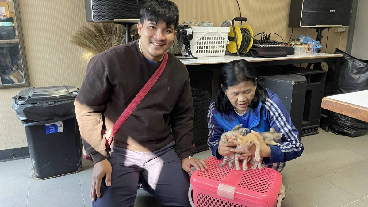 ภารกิจสำเร็จ! ตำรวจทางหลวงอยุธยาช่วยแมวพลัดหลงได้กลับบ้านแล้ว