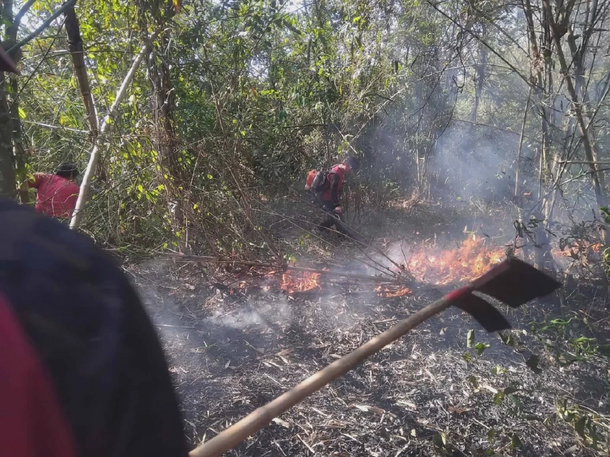 นาทีระทึก! เจ้าหน้าที่คุมไฟป่าบ้านวังน้ำขุ่นสำเร็จ เสียหาย 15 ไร่