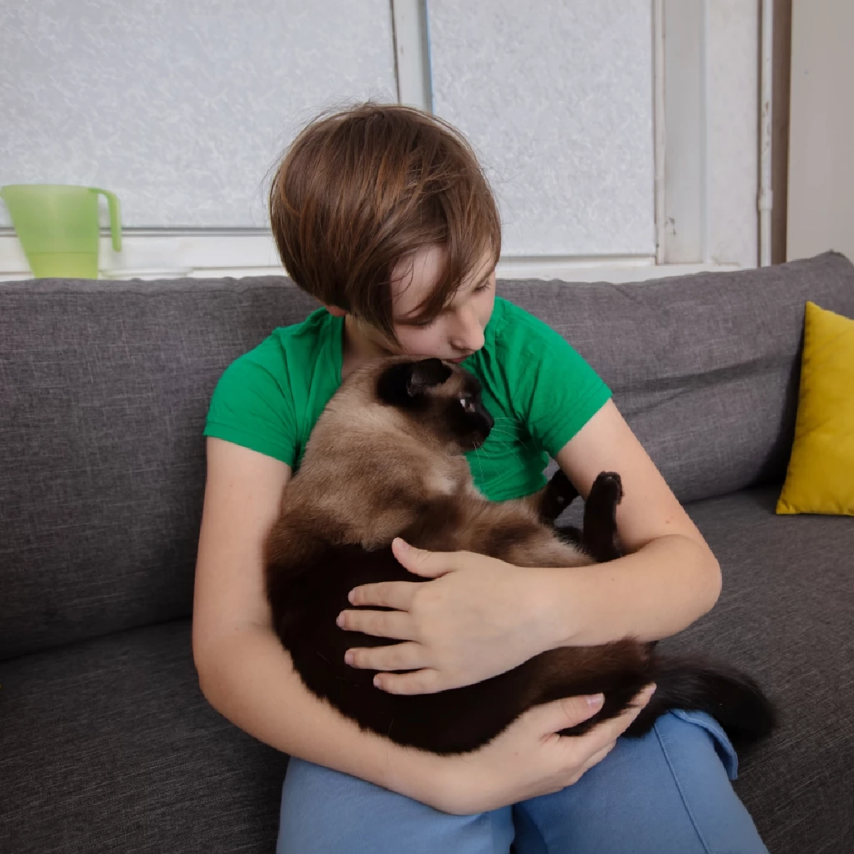 แมวไม่ได้รักทุกคน เปิดความลับวิธีเป็น "คนโปรด" ที่เหมียวเลือก