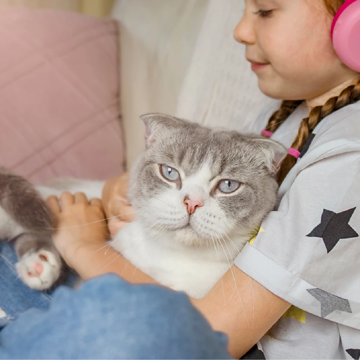 เปิดความลับ! แมวรักผู้หญิงมากกว่าผู้ชายจริงไหม?